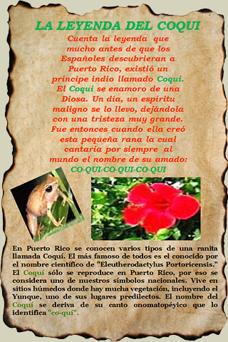 croqui